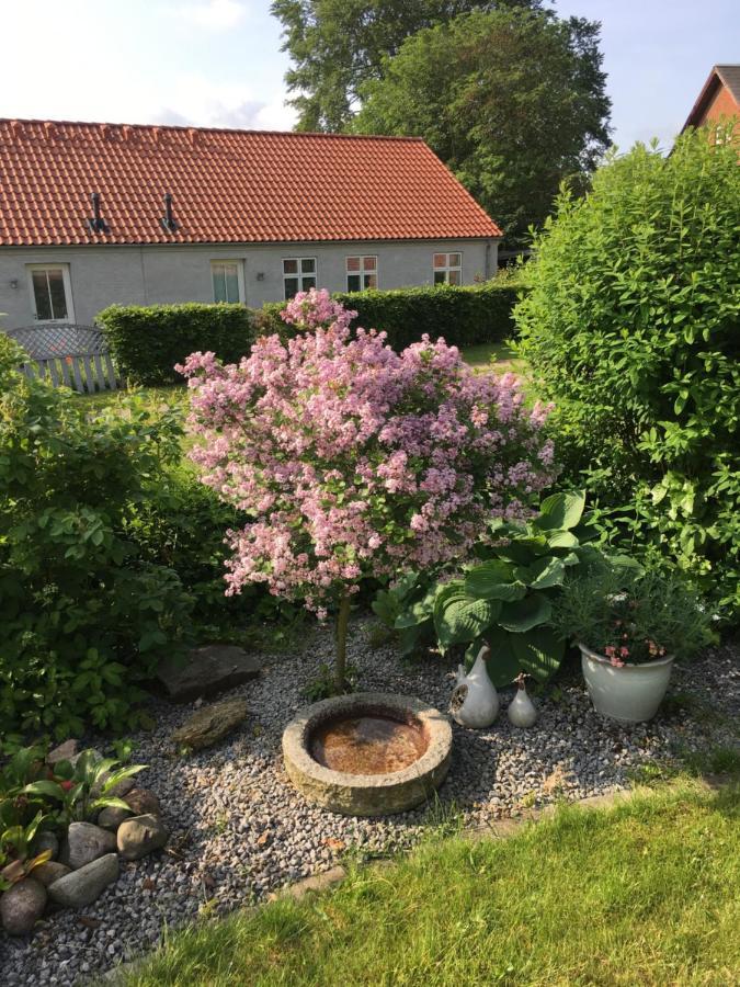 Anneks Til Bondehus Apartment Randers Bagian luar foto